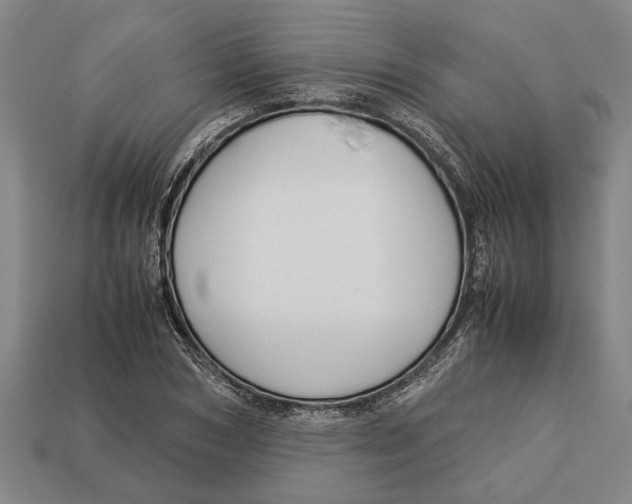 X0000113010978200909241348
