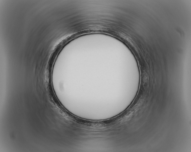X0000113010979200909241348