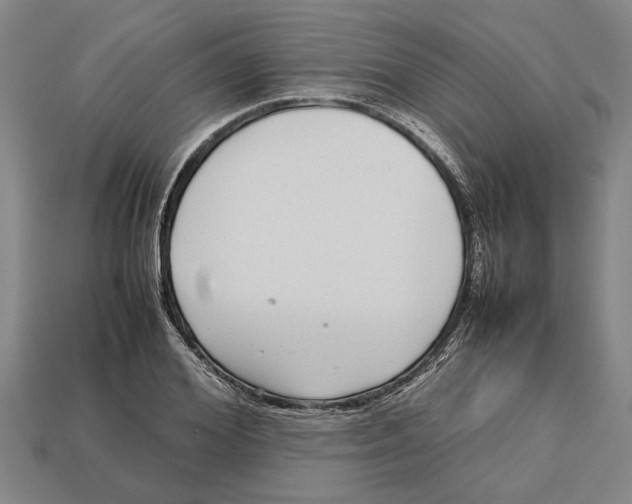 X0000113010980200909241348