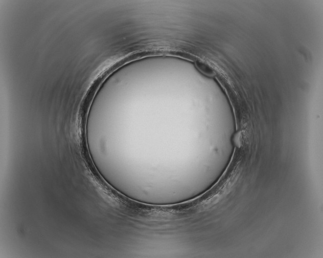 X0000113010981200909241348