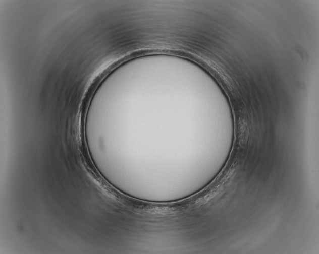 X0000113010982200909241348