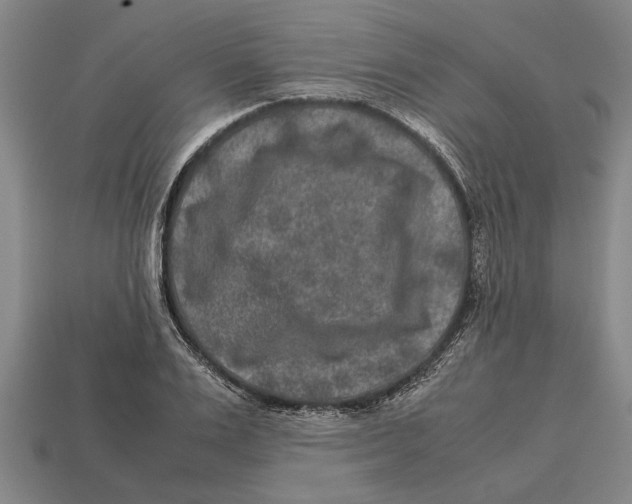 X0000113010983200909241348