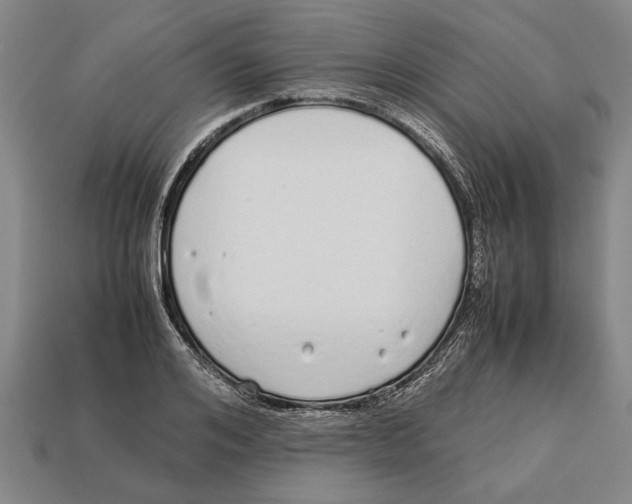 X0000113010984200909241348