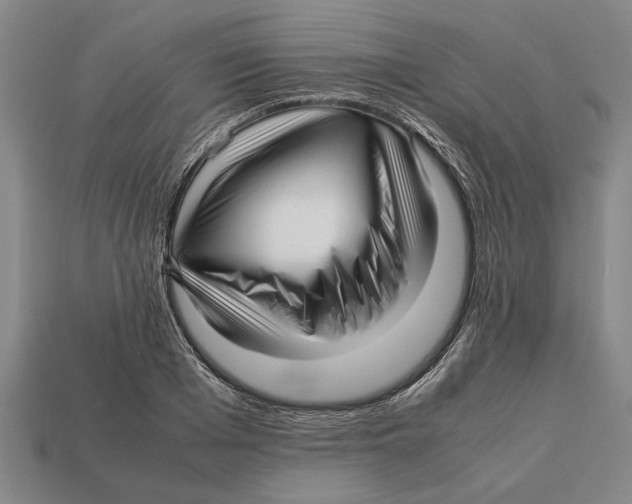 X0000113010985200909241348
