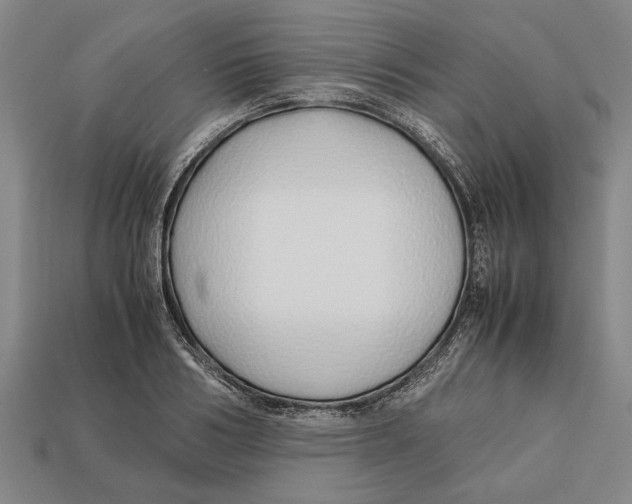 X0000113010986200909241348