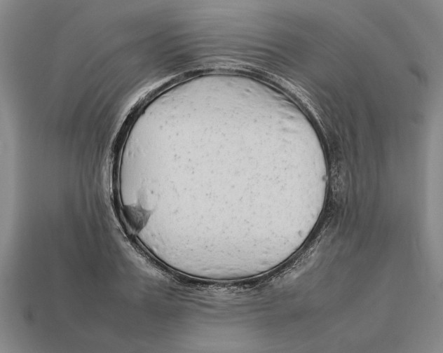 X0000113010987200909241348