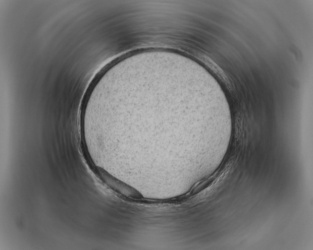 X0000113010988200909241348