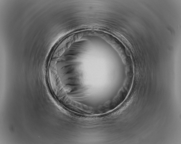 X0000113010989200909241348