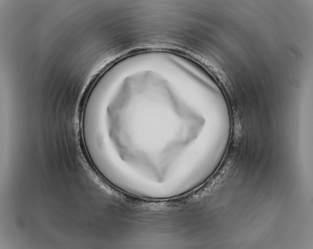 X0000113010990200909241348