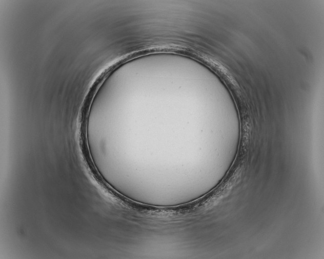 X0000113010991200909241348