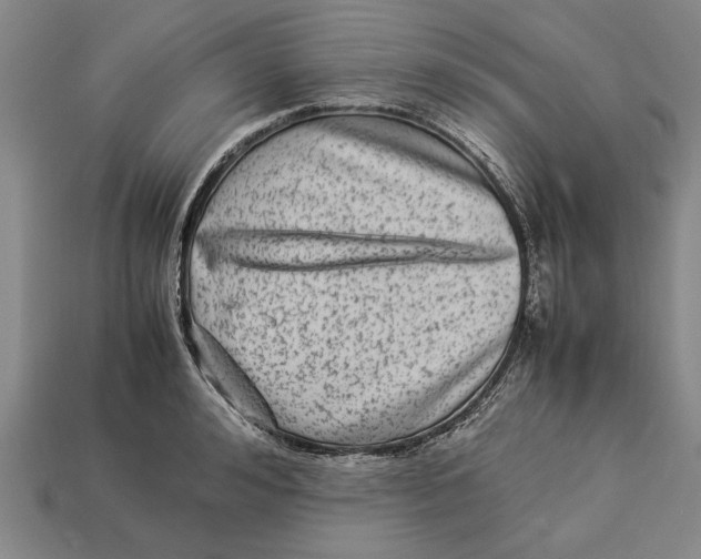 X0000113010992200909241348