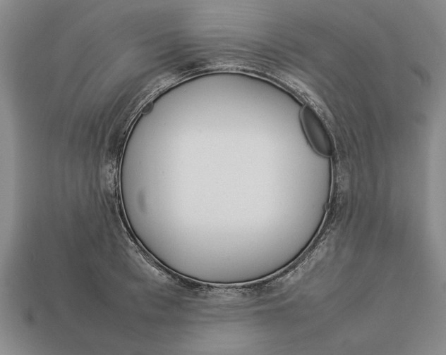 X0000113010993200909241348