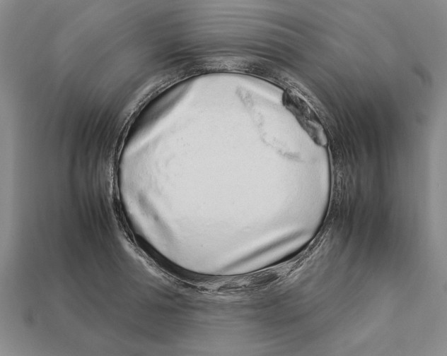 X0000113010994200909241348