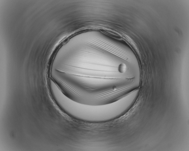 X0000113010997200909241348