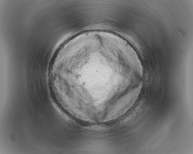 X0000113010998200909241348