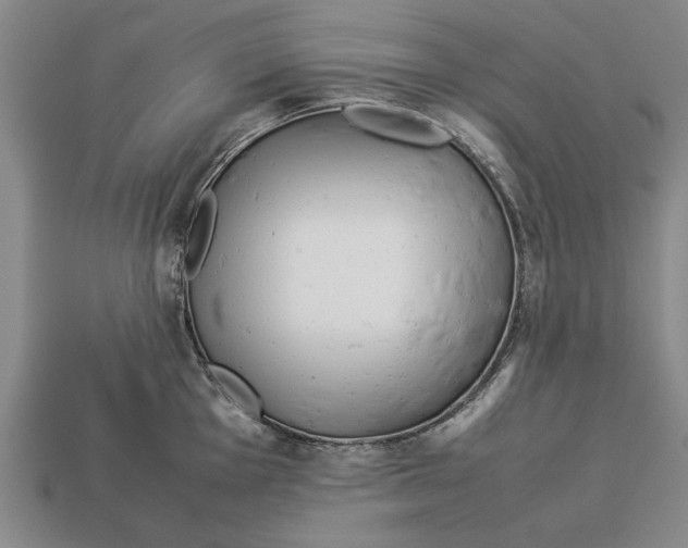 X0000113011001200909241348