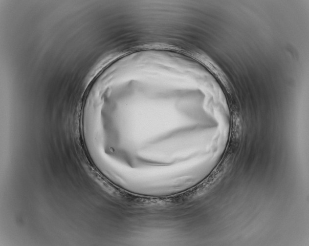 X0000113011002200909241348