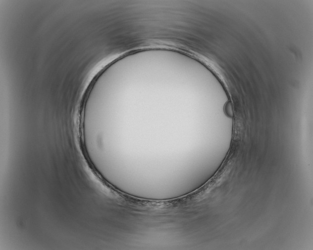 X0000113011003200909241348