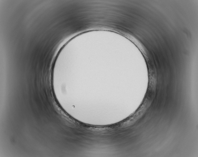 X0000113011004200909241348