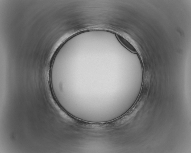 X0000113011005200909241348