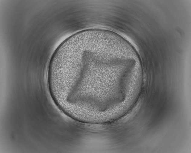 X0000113011007200909241348
