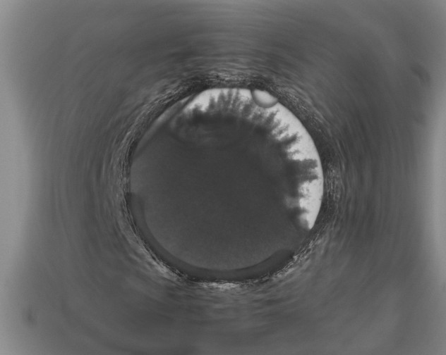 X0000113011009200909241347