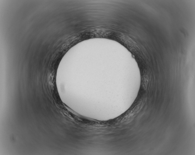 X0000113011010200909241347