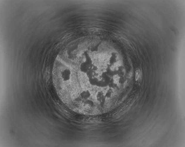 X0000113011011200909241347