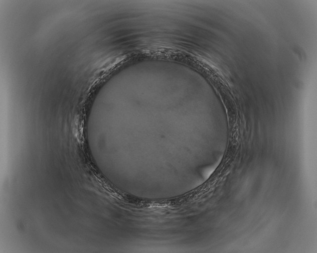 X0000113011013200909241347