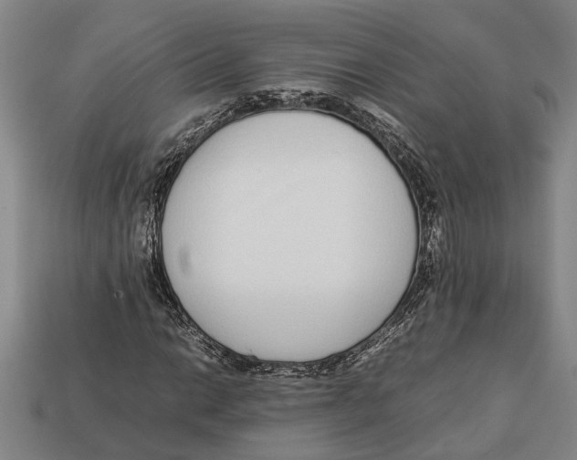X0000113011014200909241347