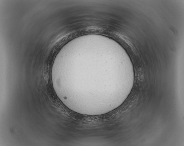X0000113011015200909241347