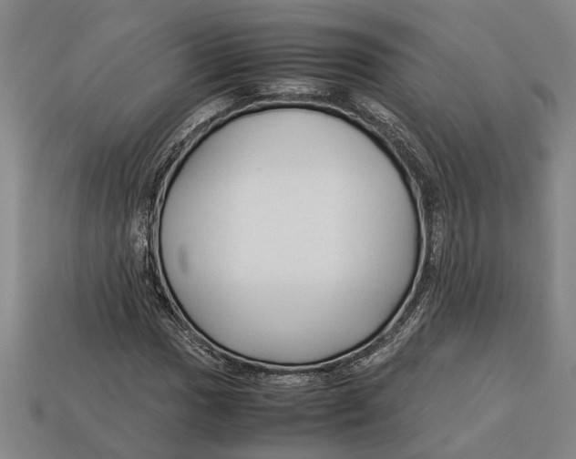 X0000113011017200909241347