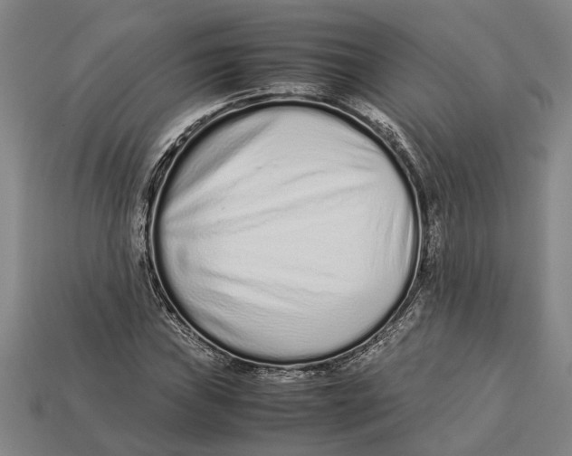 X0000113011019200909241347