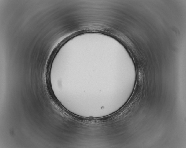 X0000113011020200909241347