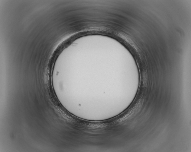 X0000113011021200909241347
