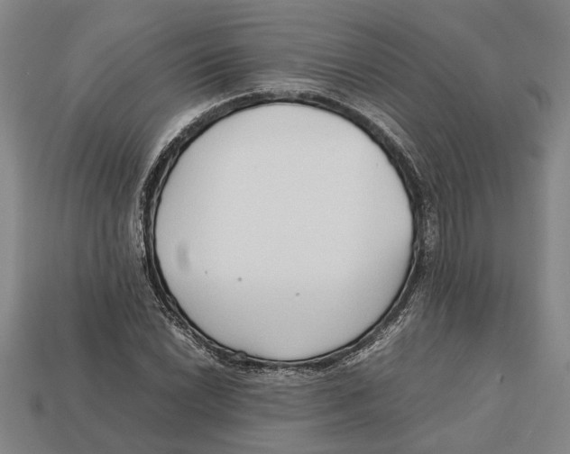 X0000113011022200909241347