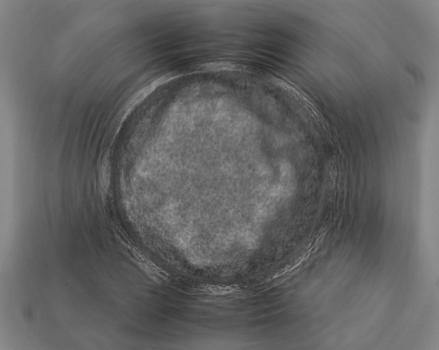 X0000113011023200909241347