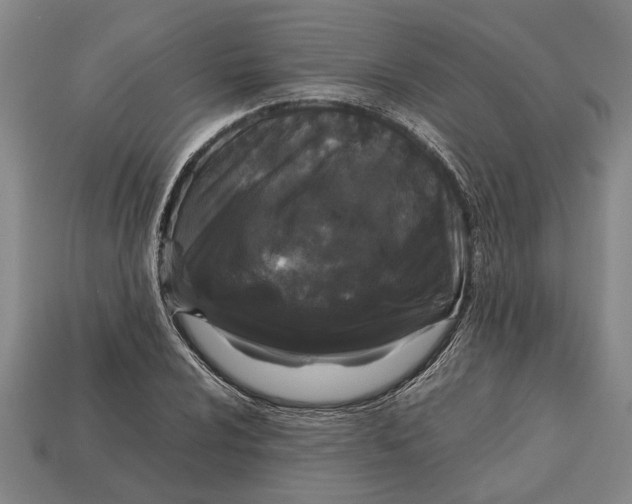 X0000113011024200909241347