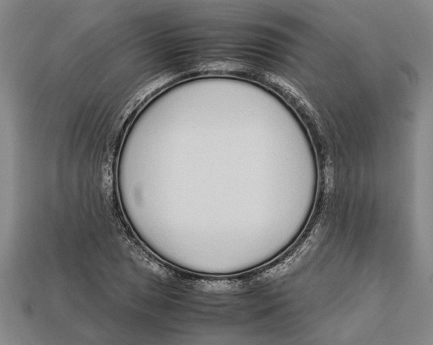 X0000113011025200909241347