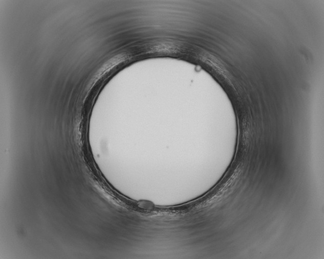 X0000113011026200909241347