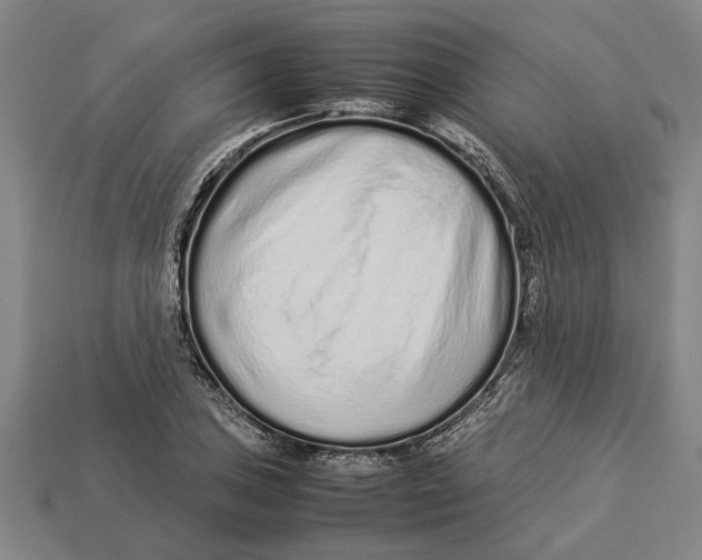 X0000113011027200909241347