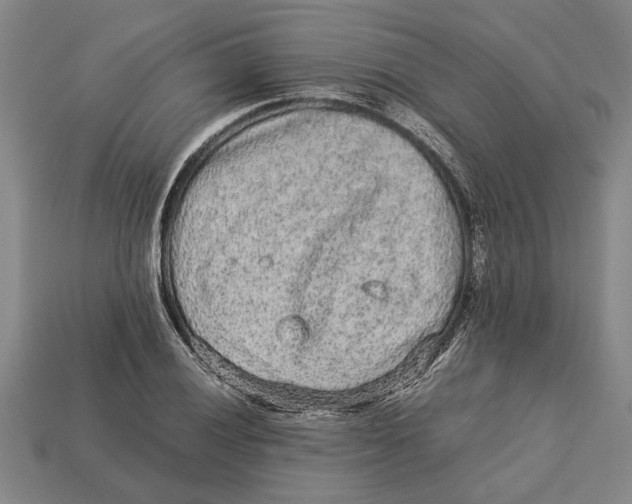 X0000113011028200909241347