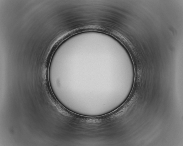 X0000113011029200909241347