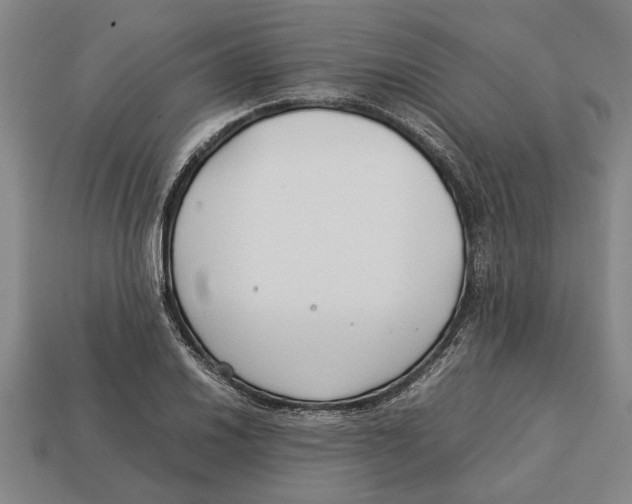 X0000113011030200909241347