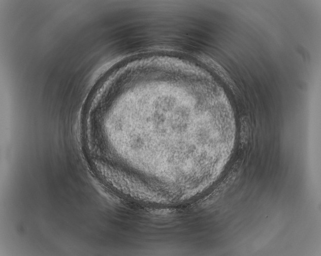X0000113011031200909241347
