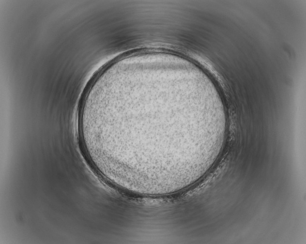 X0000113011032200909241347