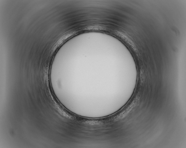 X0000113011033200909241347
