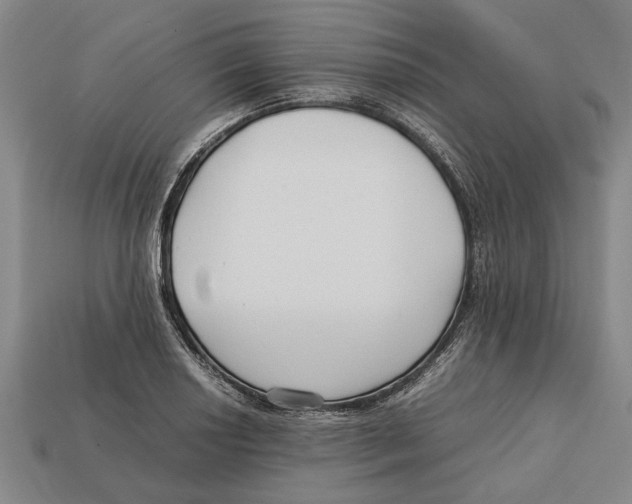 X0000113011034200909241347