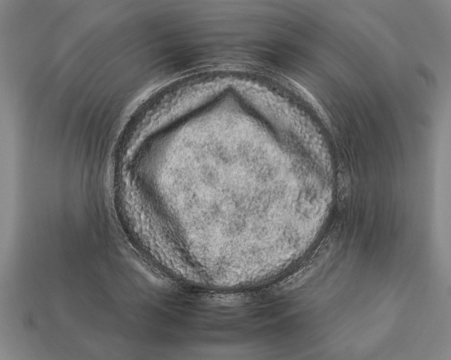 X0000113011035200909241347