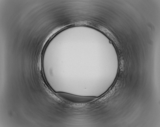 X0000113011036200909241347